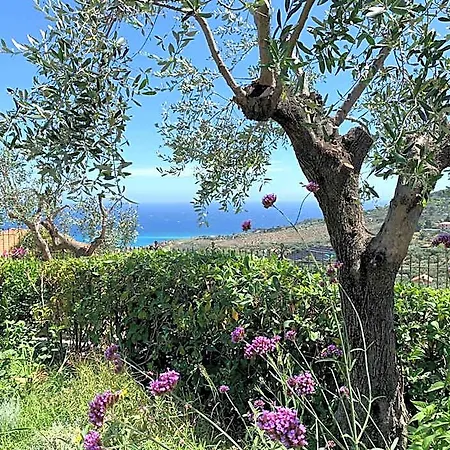 Bed & Breakfast L'orto Di Muma 3*