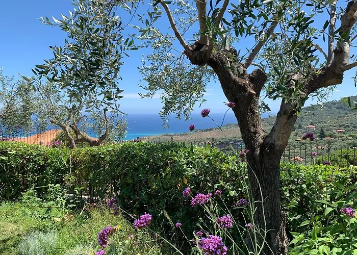 L'orto Di Muma Bed & Breakfast Gorleri